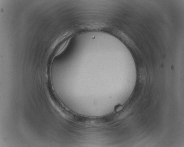 X0000081290634200702012245