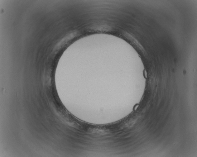 X0000081290635200702012245