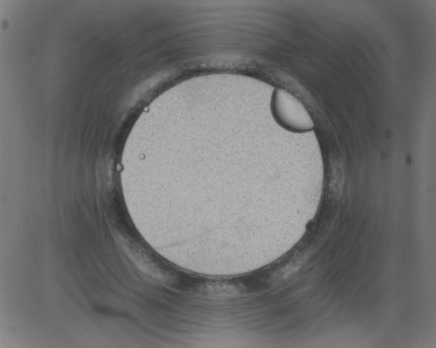 X0000081290636200702012245