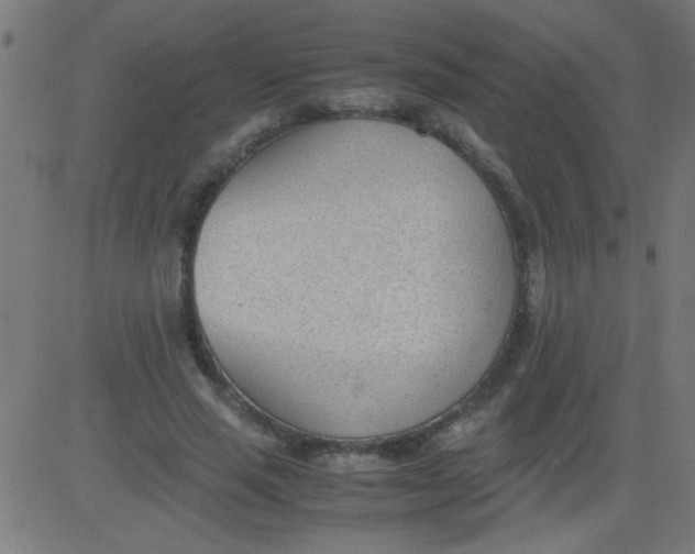 X0000081290637200702012245