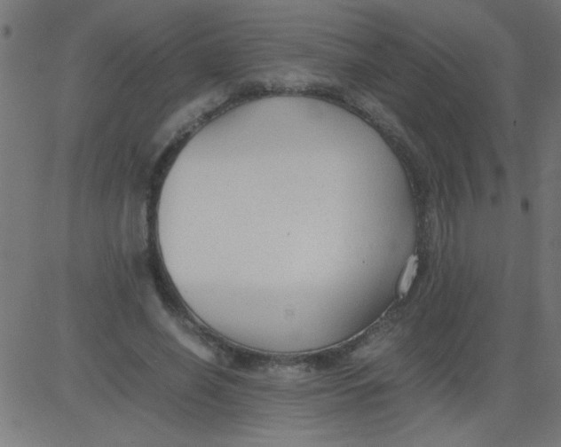 X0000081290638200702012245