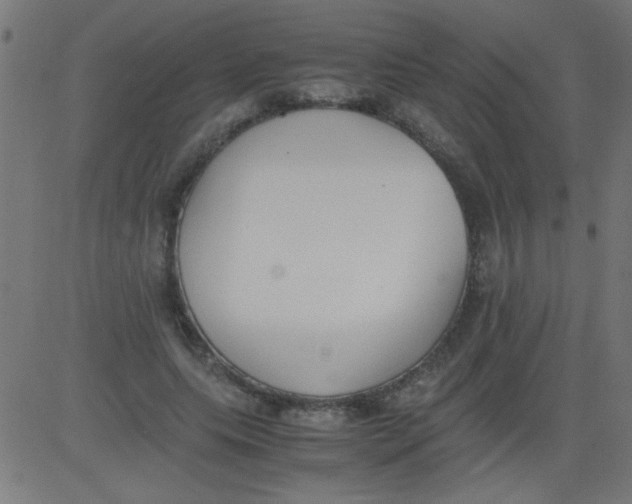 X0000081290639200702012245