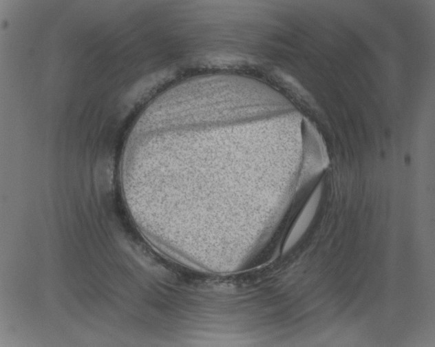 X0000081290640200702012245