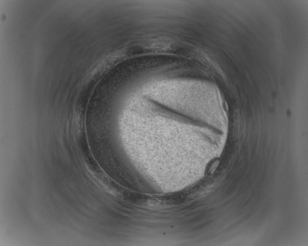 X0000081290641200702012245