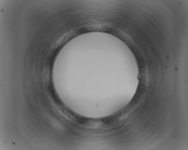 X0000081290642200702012245