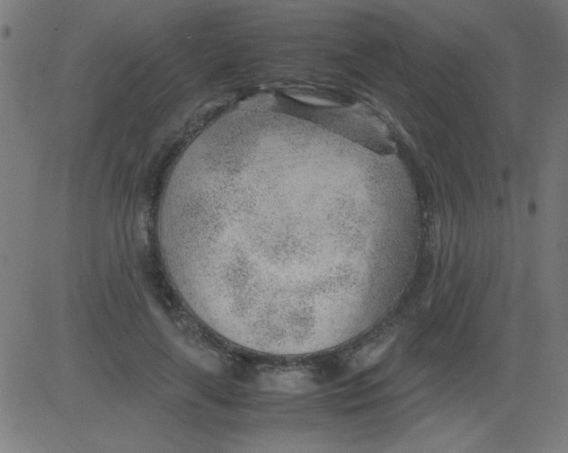 X0000081290643200702012245