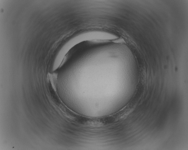 X0000081290644200702012245