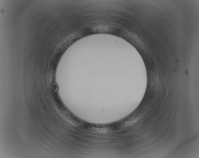 X0000081290645200702012245