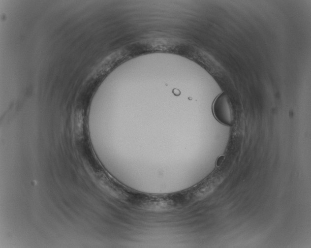 X0000081290646200702012245