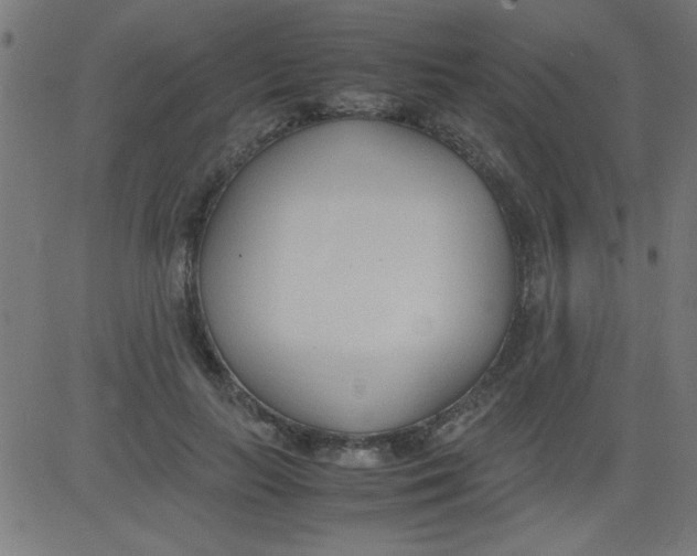 X0000081290647200702012245