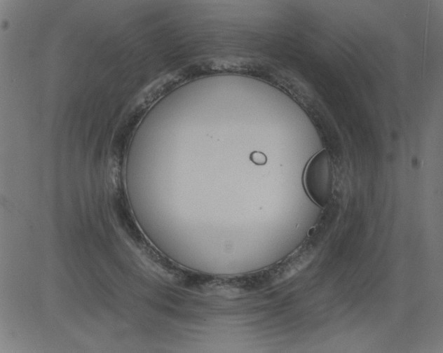 X0000081290648200702012245