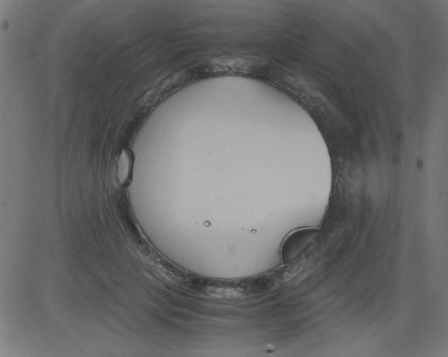 X0000081290649200702012245