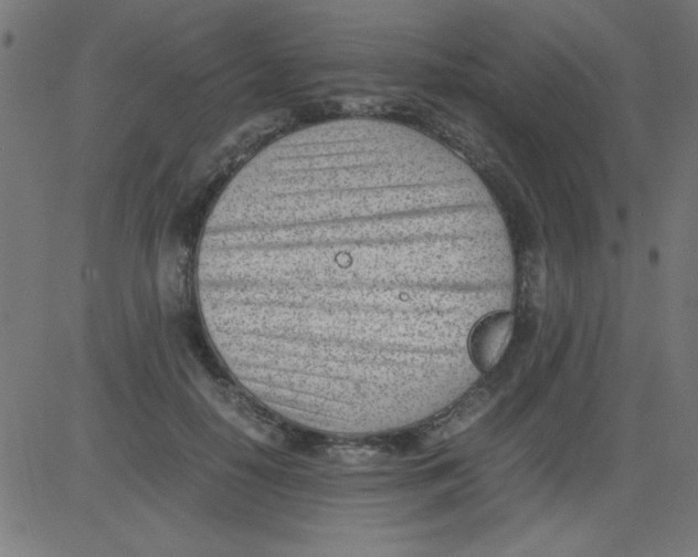 X0000081290650200702012245