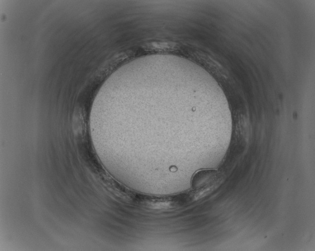 X0000081290651200702012245