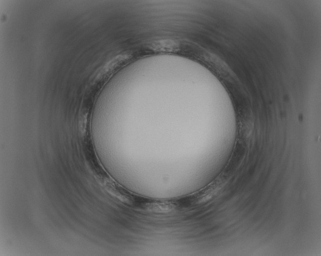 X0000081290652200702012245