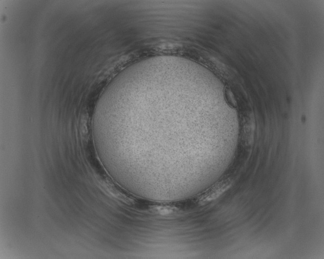 X0000081290654200702012245