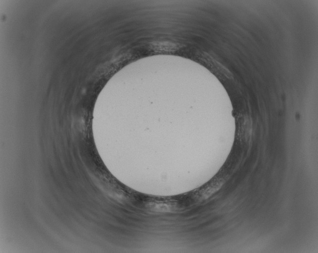 X0000081290655200702012245