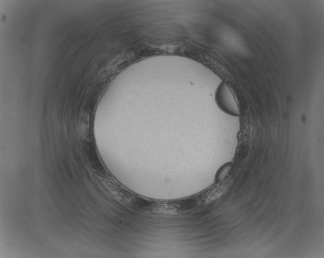 X0000081290656200702012245