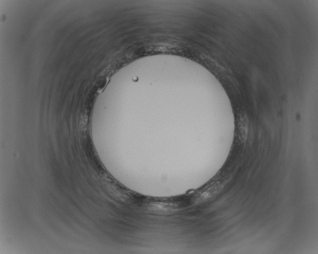 X0000081290657200702012245