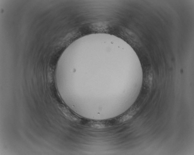 X0000081290658200702012245