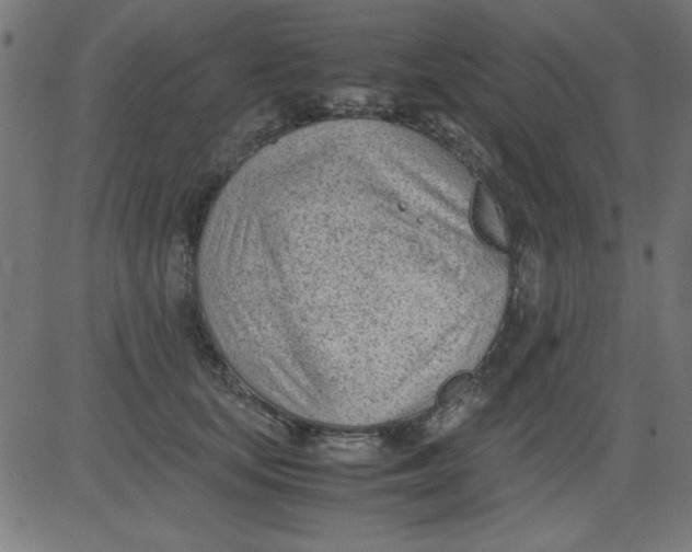 X0000081290659200702012245