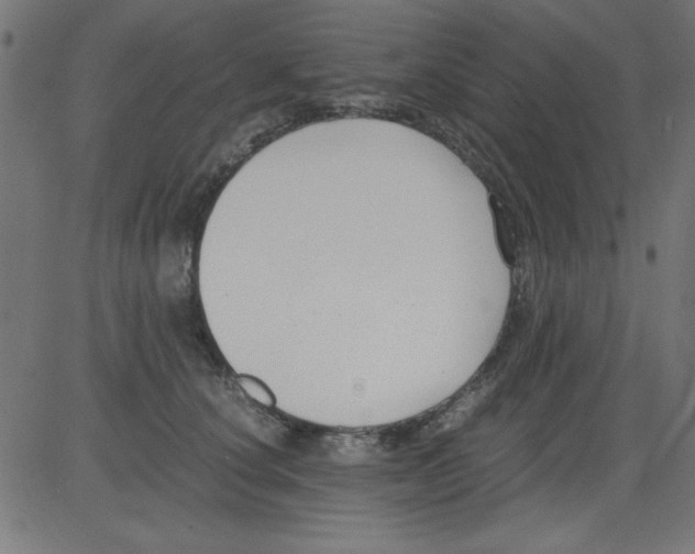 X0000081290660200702012245