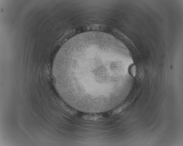 X0000081290661200702012245