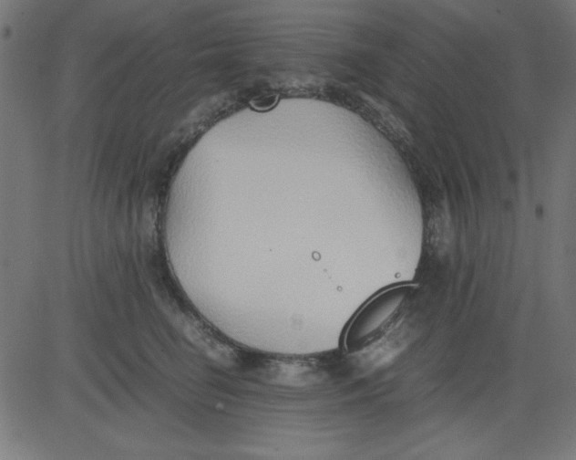 X0000081290662200702012245