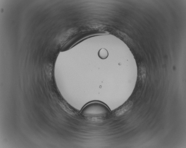 X0000081290664200702012245