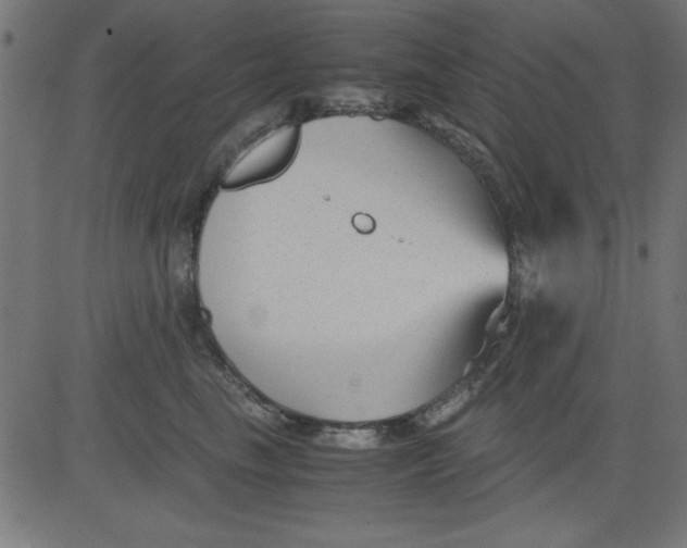 X0000081290665200702012245