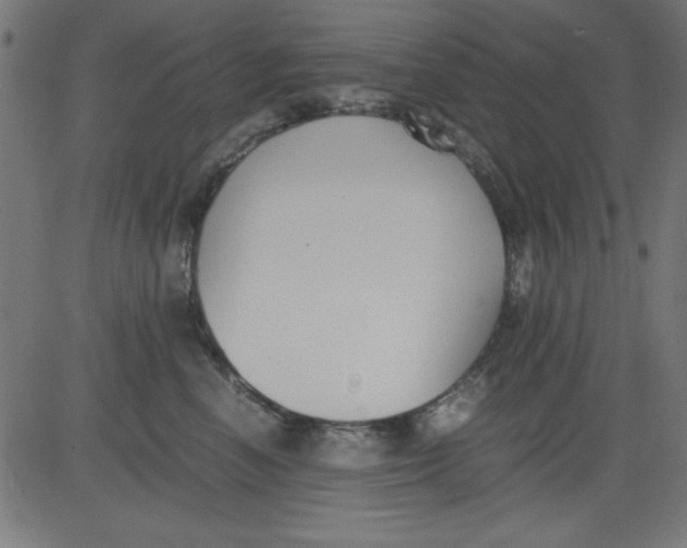 X0000081290666200702012245