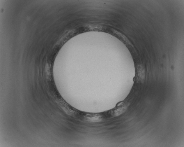 X0000081290667200702012245