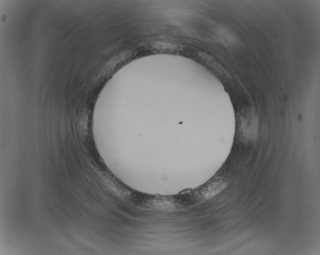 X0000081290668200702012245