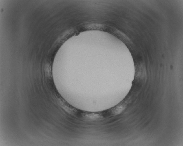 X0000081290669200702012246