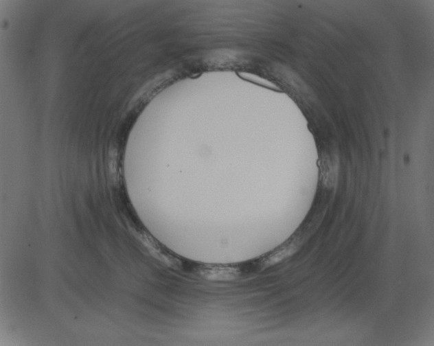 X0000081290670200702012246