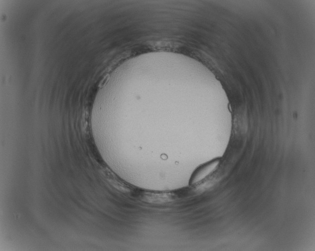 X0000081290671200702012246