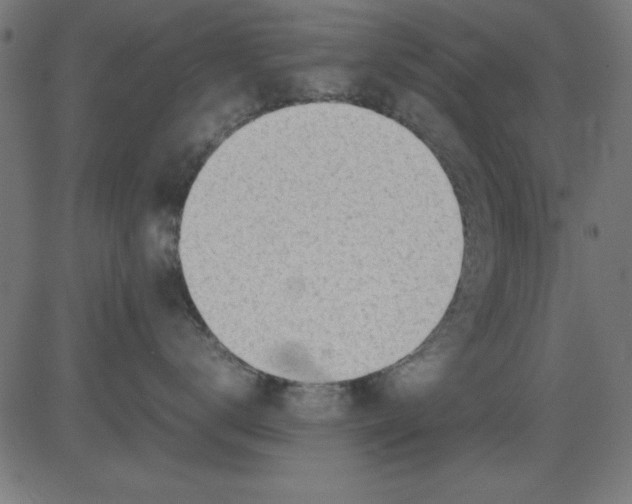 X0000081290672200702012246