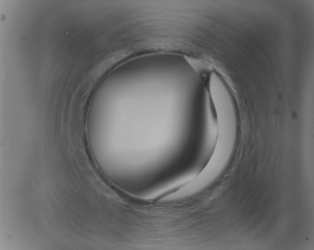 X0000081290673200702012245