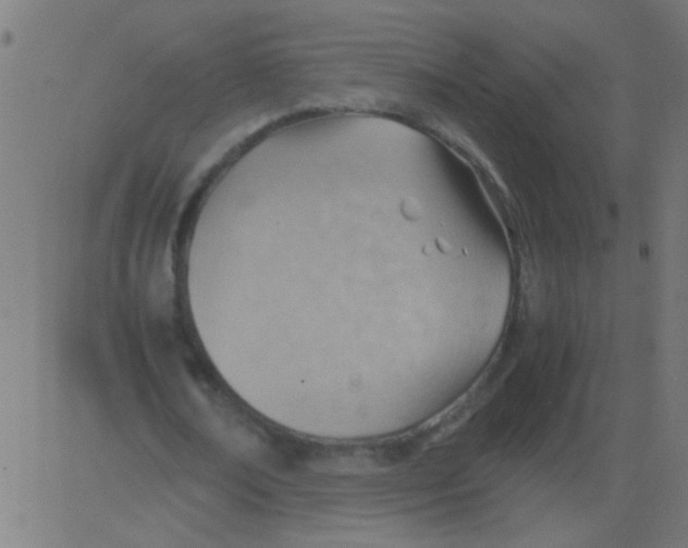 X0000081290674200702012245