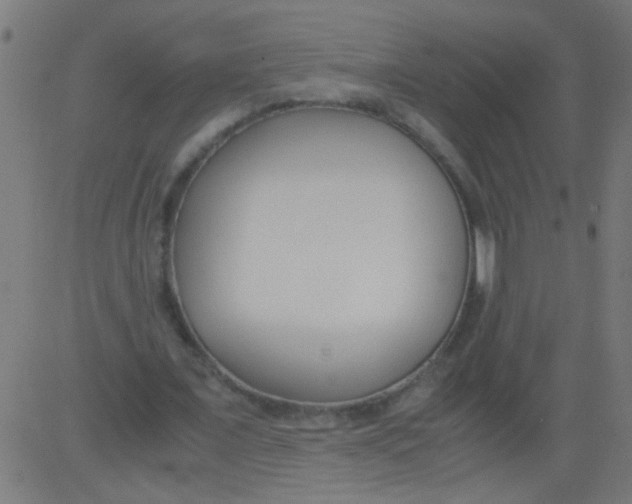 X0000081290675200702012245