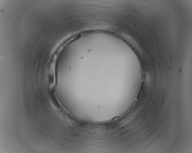 X0000081290676200702012245