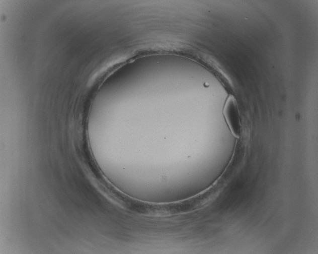 X0000081290677200702012245