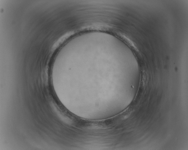 X0000081290678200702012245