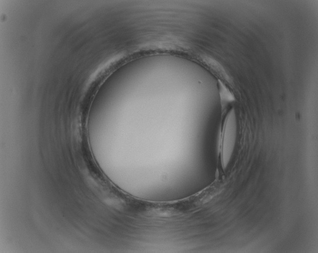 X0000081290680200702012245