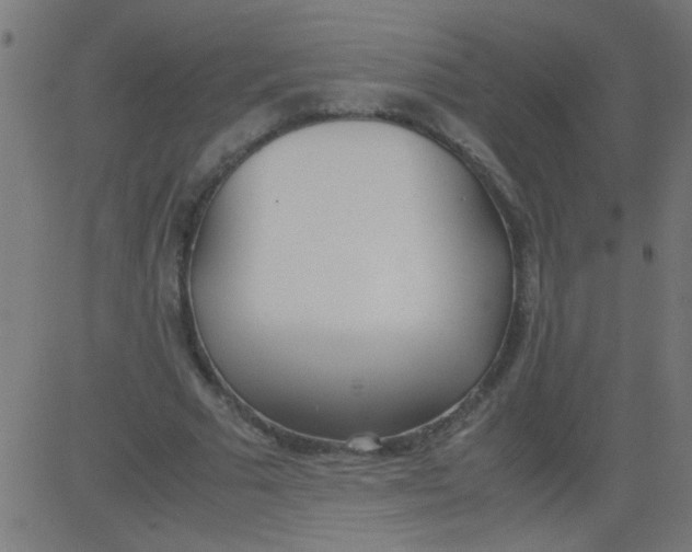 X0000081290681200702012245