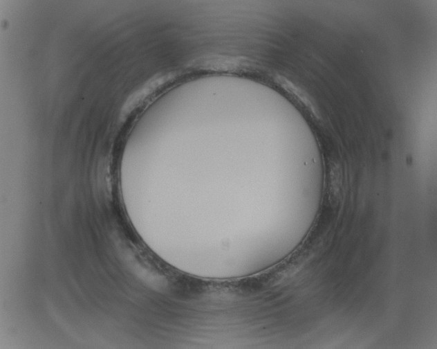 X0000081290682200702012245