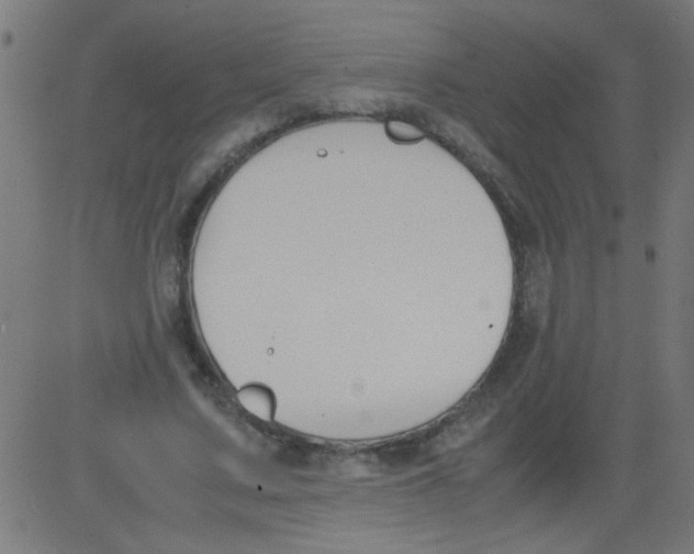 X0000081290683200702012245