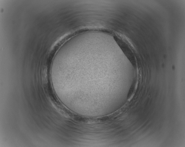 X0000081290684200702012245