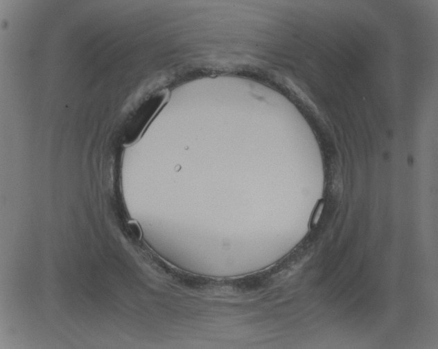 X0000081290685200702012245