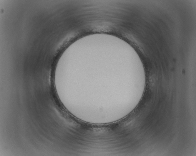 X0000081290686200702012245